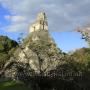 hier die berühmten Ruinen von Tikal